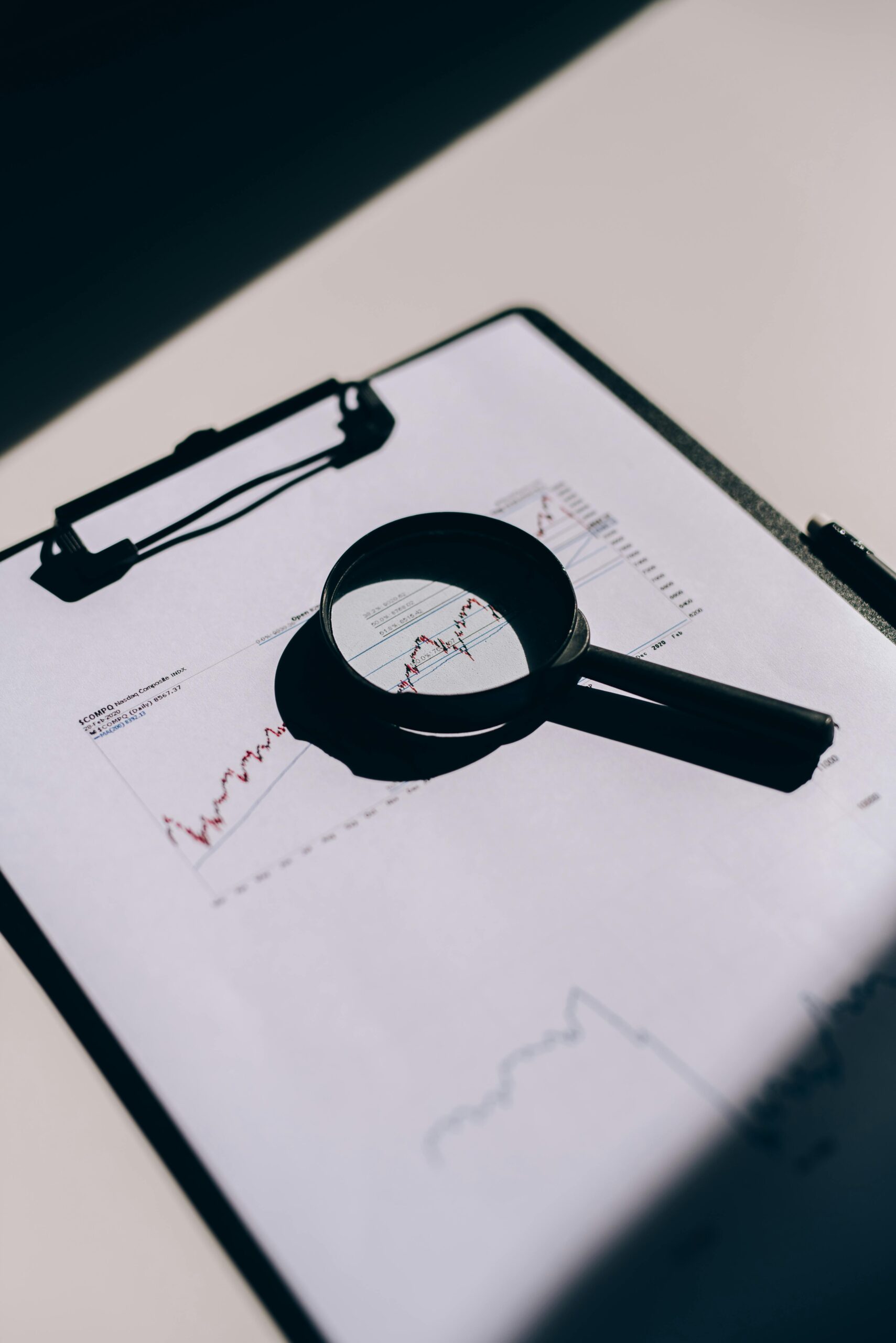 Audit Software